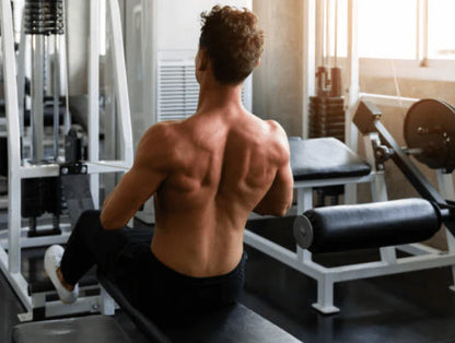 MAX Titanium – L-Glutamina (Original